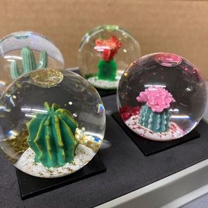 Mini snow globes with cactus, four in the set